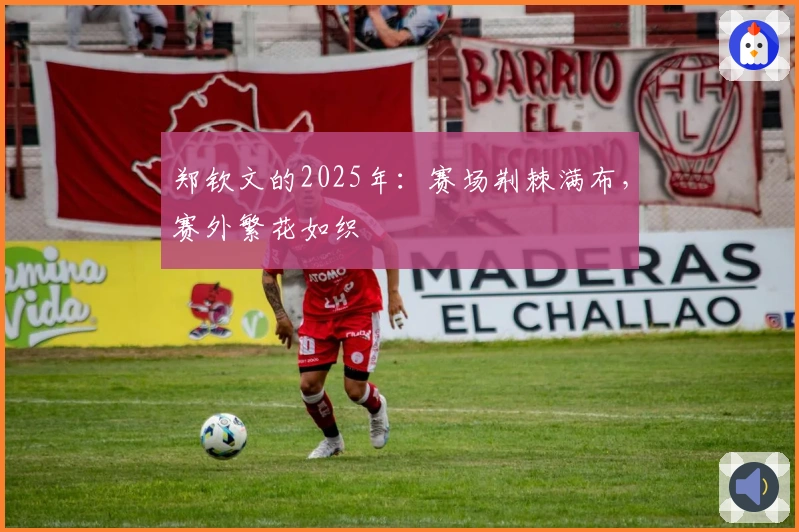 郑钦文的2025年：赛场荆棘满布，赛外繁花如织