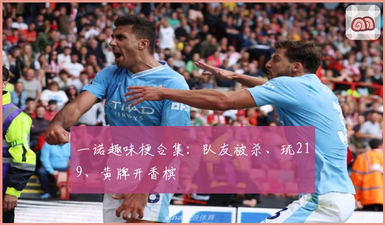 一诺趣味梗合集：队友被杀、玩219、黄牌开香槟